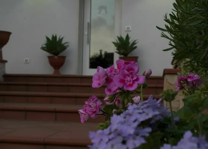 Nacore ماسافرا