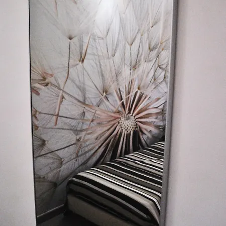 Nacore 4* 마사프라